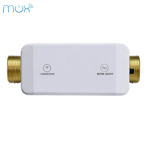 Smart Water Valve and Flow Meter